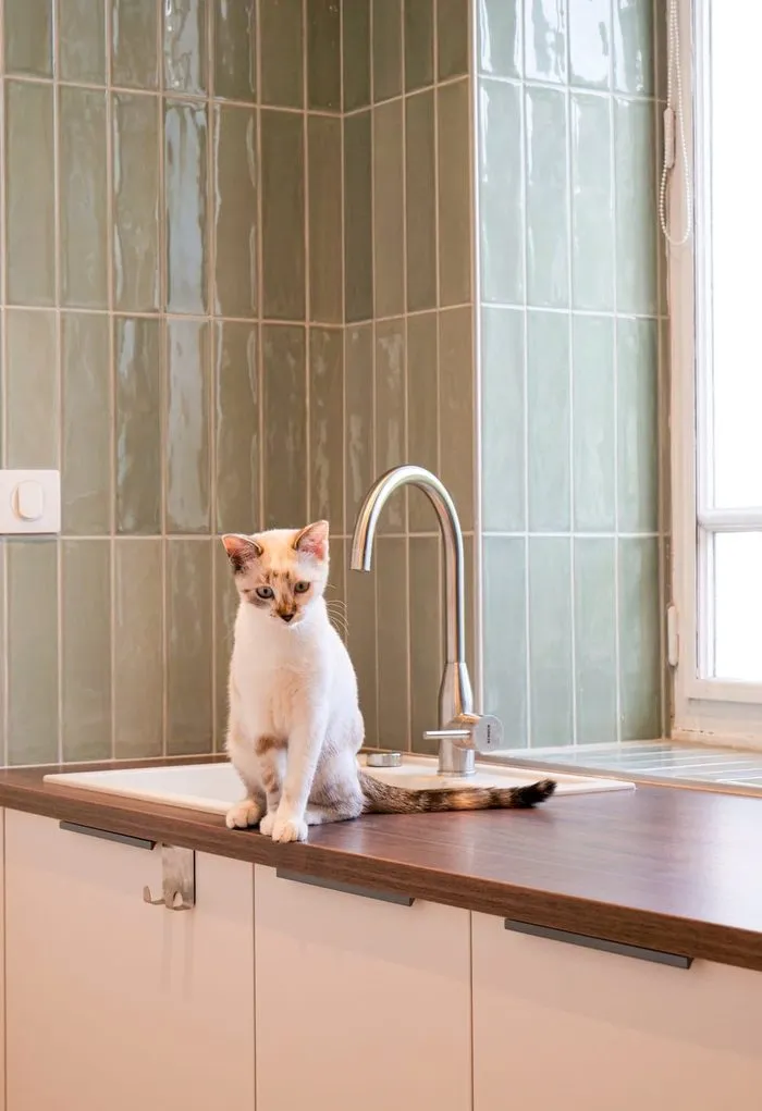 Buanderie chic et fonctionnelle dans une maison de Tournus, Tournus